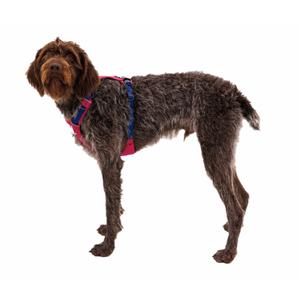 product/r/u/ruffwear_30821-655_4.jpg
