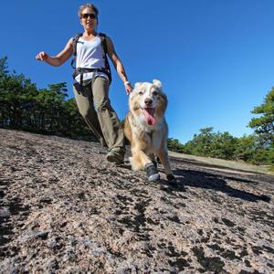product/r/u/ruffwear_p15202-001150_obsidian-black_2.jpg