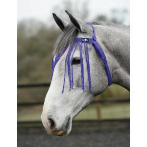 819127-licol-pour-cheval-saxon-fly-fringe-purple