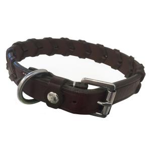 p03n-collier-pour-chien-silver-crown-bredie-australian-nut-50-cm