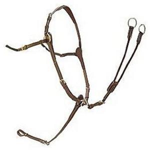 crt01n-rt01n-collier-de-chasse-silver-crown-australian-nut