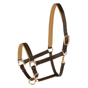 50436130-vb-licol-pour-cheval-star-diamond-marron