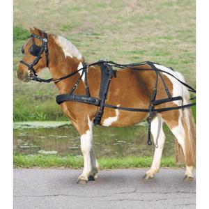 901010-pon-pad-de-harnais-pour-poneys-et-shetty-star-noir-poney