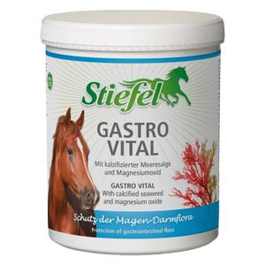 3955500-complement-alimentaire-pour-cheval-stiefel-gastro-vital-blanc-1-kg