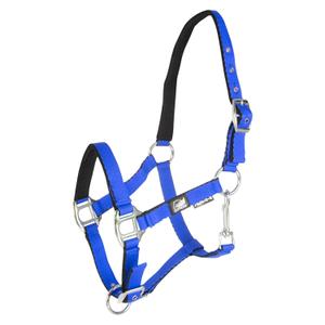 ca00010-royal-blue-licol-pour-poulain-avec-double-reglage-supreme-royal-blue