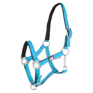 ca00010-turquoise-licol-pour-poulain-avec-double-reglage-supreme-turquoise