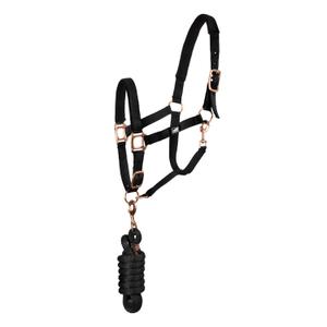 ca00034-black-ensemble-licol-et-longe-pour-cheval-supreme-black