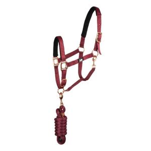 ca00034-burgundy-ensemble-licol-et-longe-pour-cheval-supreme-burgundy