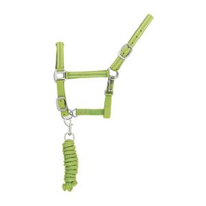 ca00037-lime-ensemble-licol-et-longe-pour-cheval-nylon-reflechissante-supreme-lime