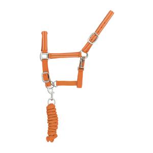 ca00037-orange-ensemble-licol-et-longe-pour-cheval-nylon-reflechissante-supreme-orange