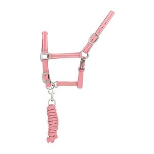 ca00037-pink-ensemble-licol-et-longe-pour-cheval-nylon-reflechissante-supreme-pink