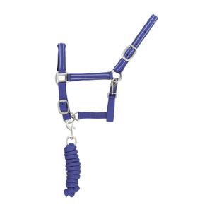 ca00037-royalblue-ensemble-licol-et-longe-pour-cheval-nylon-reflechissante-supreme-royalblue