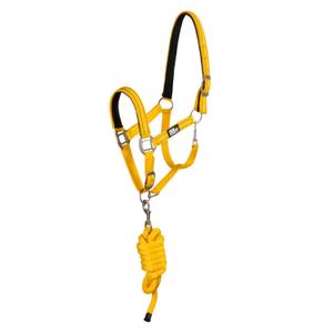 ca00037-yellow-ensemble-licol-et-longe-pour-cheval-supreme-reflective-yellow