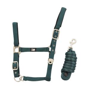 ca00039a-huntergreen-ensemble-licol-en-nylon-et-longe-tresse-pour-cheval-supreme-huntergreen