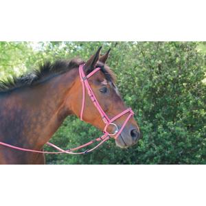 biobrid01-fuchsia-bridons-equitation-t-de-t-biotackr-fuchsia