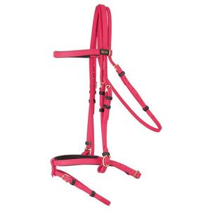 product/t/-/t-de-t_biobrid01_fuchsia_1.jpg