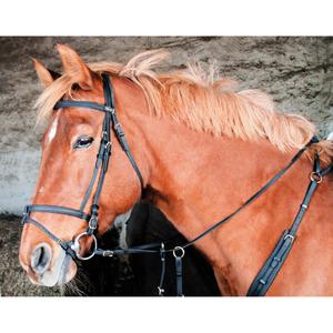 biobrid01-noir-bridons-equitation-t-de-t-biotackr-noir