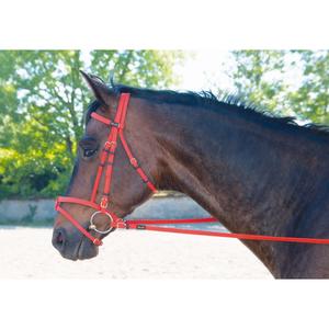 biobrid01-orange-bridons-equitation-t-de-t-biotackr-orange