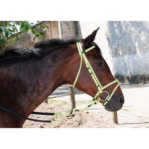 biobrid01-vert-tilleul-bridons-equitation-t-de-t-biotackr-vert-tilleul