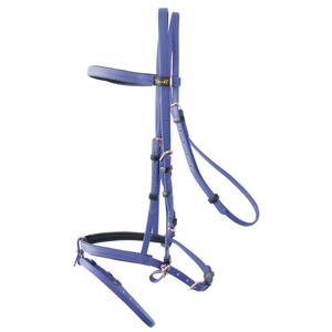 biobrid01-violet-bridons-equitation-t-de-t-biotackr-violet