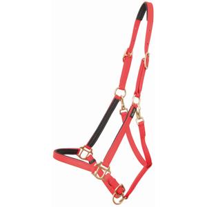 product/t/-/t-de-t_biolic01_rouge_0.jpg