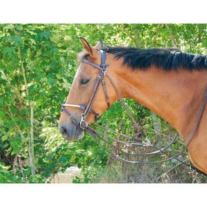 gog02-havane-fonce-gogue-t-de-t-02-havane-fonce-poney