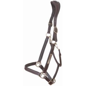 lcvl05-marron-fonce-licol-pour-cheval-avec-plaque-t-de-t-marron-fonce