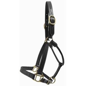 lcvl05-noir-licol-pour-cheval-avec-plaque-t-de-t-noir