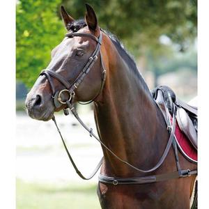 1188099-10-collier-de-chasse-pour-cheval-elastique-avec-col-amovible-tattini-noir