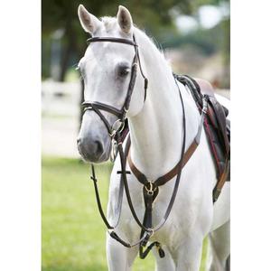 1190499-10-collier-de-chasse-pour-cheval-elastique-en-y-avec-martingale-tattini-noir