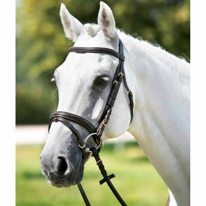 1426699-04-tetiere-frontal-moule-tattini-marron