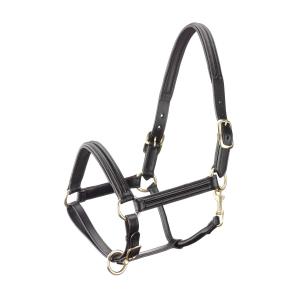 2002603-10-licol-pour-cheval-en-cuir-double-bombee-tattini-noir