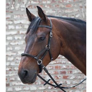 product/t/e/tellington-ttouch_9414101-pon_noir_2.jpg