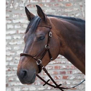 product/t/e/tellington-ttouch_9414130-vb_marron_2.jpg