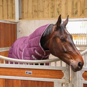 10467-burg-couverture-d-ecurie-pour-cheval-tempest-original-combo-300-g-burg
