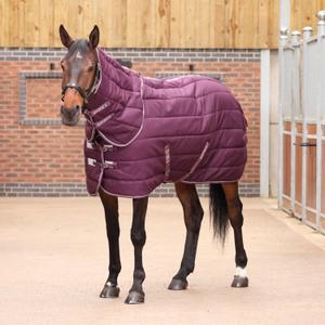 10468-burg-couverture-d-ecurie-avec-couvre-cou-pour-cheval-tempest-original-300g-burg