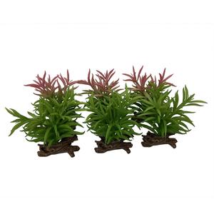 242-465868-objet-decoratif-crassula-terra-della-couleurs-melangees-13x10-5x16-cm