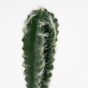 product/t/e/terra-della_243-482735_3.jpg