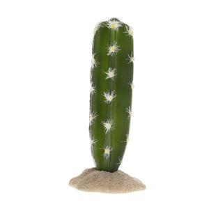 243-482735-decoration-d-terrarium-cactus-cylindrique-terra-della-vert