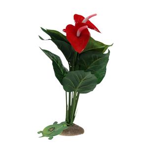 product/t/e/terra-della_243-482766_2.jpg