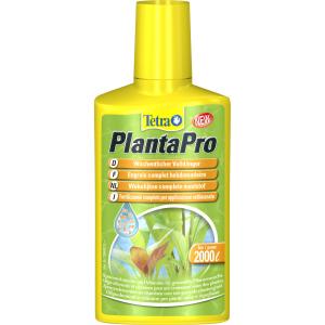 product/t/e/tetra_371939.jpg