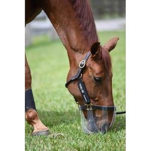 muz-mp2-5-masque-de-paturage-flexible-pour-cheval-thinline-thinline-blanc