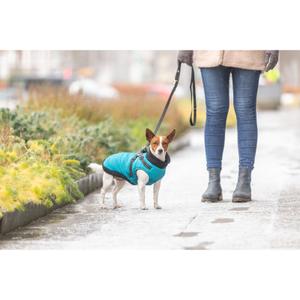product/t/r/trixie_680352_aqua_7.jpg
