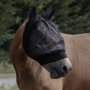 product/u/m/umbria-equitazione_ag00193_black_1.jpg