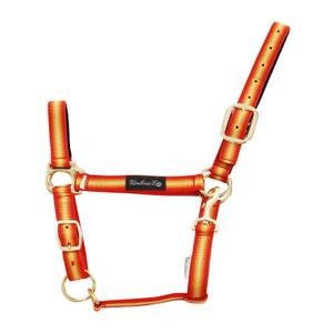 ca00040-red-yellow-licol-pour-cheval-en-nylon-renforcement-en-cuir-umbria-equitazione-ca00040-red-yellow