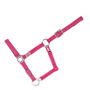 15050006-048-399-licol-rembourre-pour-cheval-usg-everyday-fuchsia