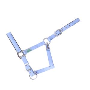 15050006-136-400-licol-rembourre-pour-cheval-usg-everyday-sky-blue