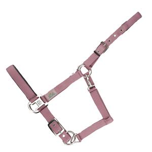 15050006-421-400-licol-pour-cheval-usg-everyday-paisley-rose