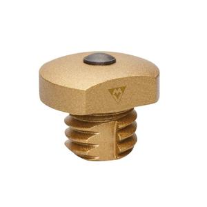 vaisg9-vaihg6-crampon-tungstene-auto-nettoyant-vaillant-fastuds-sg-dore