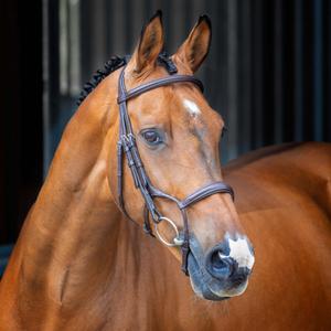 5093-havana-bride-equitation-cavesson-rembourree-roulee-velociti-lusso-havana